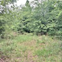 Secluded 32.23 Acres Land for Sale South Pike Co Magnolia MS images 6