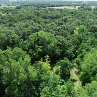 100  - Acre Turn Key Business and or Recreational Property images 5