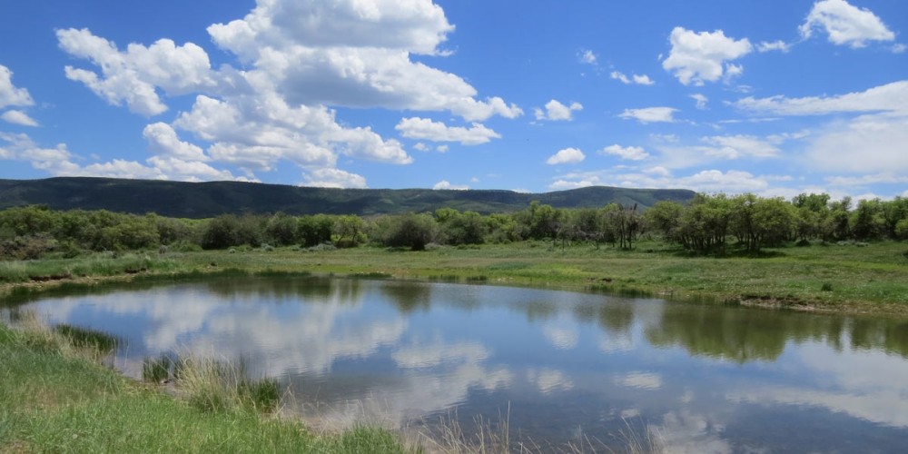 Oak Ridge Ranch featured image