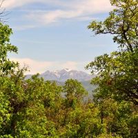 Oak Ridge Ranch images 2