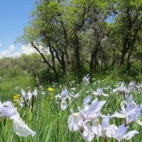 Oak Ridge Ranch images 3