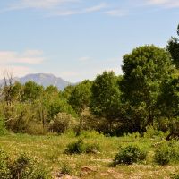 Oak Ridge Ranch images 5