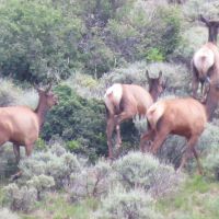 Oak Ridge Ranch images 6