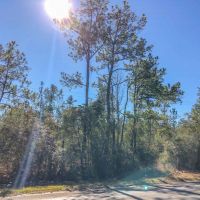 167 Acres &nbsp; Hwy 326 images 2