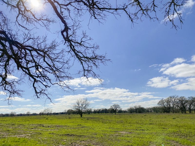 23 Acres &nbsp; Tract 1 &nbsp; Mustang Oaks featured image