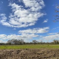 23 Acres &nbsp; Tract 1 &nbsp; Mustang Oaks images 6