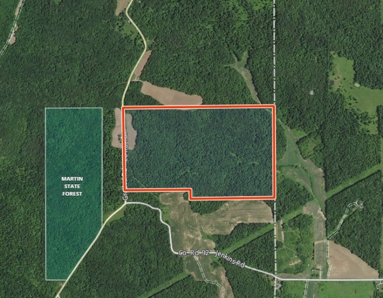 157 Acres For Sale In Martin County Indiana featured image