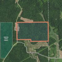 157 Acres For Sale In Martin County Indiana