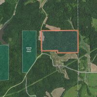 157 Acres For Sale In Martin County Indiana images 2