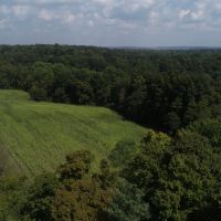 157 Acres For Sale In Martin County Indiana images 3