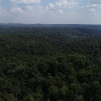 157 Acres For Sale In Martin County Indiana images 4