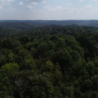 157 Acres For Sale In Martin County Indiana images 5