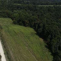 157 Acres For Sale In Martin County Indiana images 6