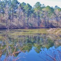 51.85 Acres for Sale Smithdale  Amite County  Southwest MS