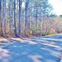 51.85 Acres for Sale Smithdale  Amite County  Southwest MS images 2