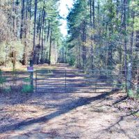 51.85 Acres for Sale Smithdale  Amite County  Southwest MS images 3