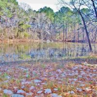 51.85 Acres for Sale Smithdale  Amite County  Southwest MS images 4