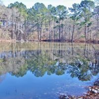 51.85 Acres for Sale Smithdale  Amite County  Southwest MS images 5
