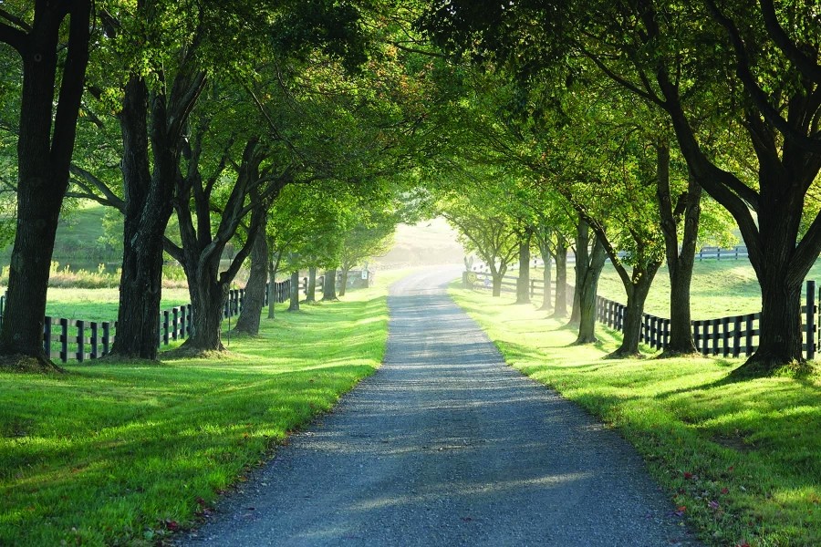 Cleremont Farm featured image