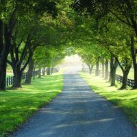 Cleremont Farm