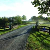 Cleremont Farm images 2