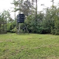 36 Acres in Walthall County in Tylertown  MS images 3