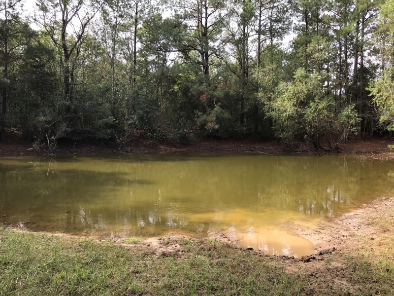 36 Acres in Walthall County in Tylertown MS Hunting Land for Sale