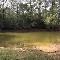 36 Acres in Walthall County in Tylertown  MS images 4