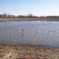 World Class Buck, Turkey, & Waterfowl Hunting and Lodging in Southwest Iowa