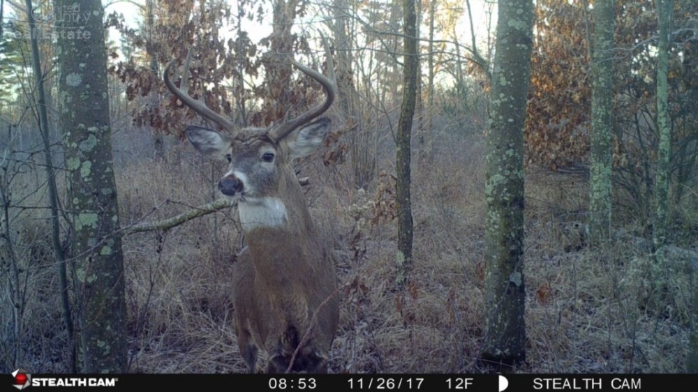 Trophy Whitetail Sleeper For Sale in Adams County  WI featured image