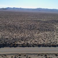 Trinity Range 40 Acres