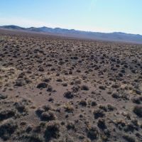 Trinity Range 40 Acres images 4