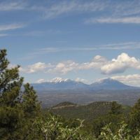B31 Santa Fe Trail Ranch images 2