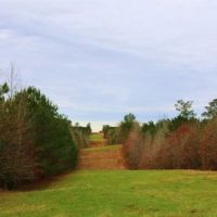 123 Acres in Attala County in McCool  MS images 6