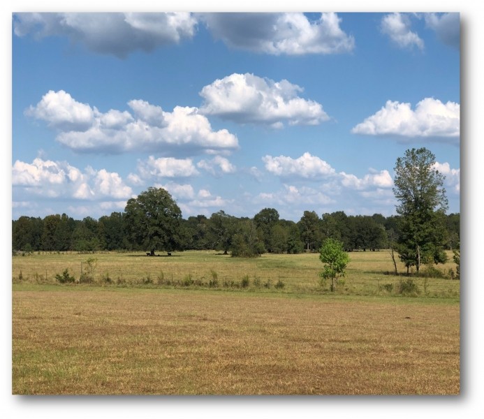 320 Acres in Hinds County in Utica  MS featured image
