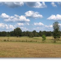 320 Acres in Hinds County in Utica  MS