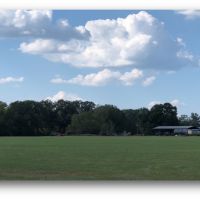 320 Acres in Hinds County in Utica  MS images 2