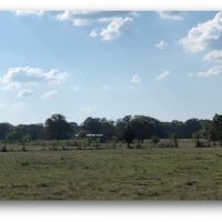320 Acres in Hinds County in Utica  MS images 3