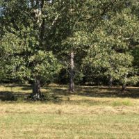320 Acres in Hinds County in Utica  MS images 6