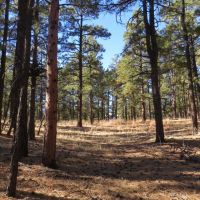 North Fork Ranch Home images 6