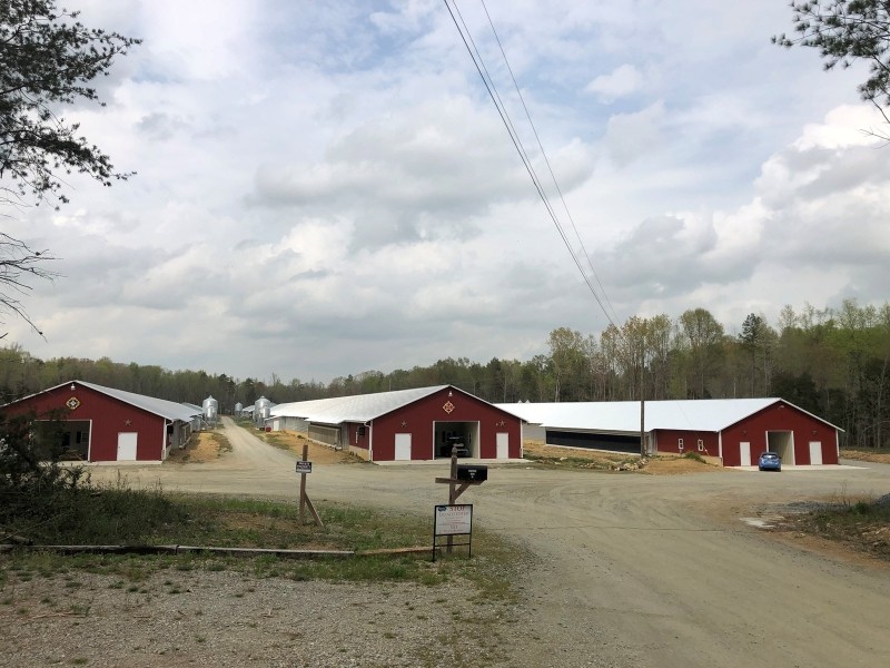 Breeder Poultry Farm For Sale in Davidson County  NC featured image