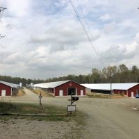 Breeder Poultry Farm For Sale in Davidson County  NC