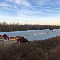 Breeder Poultry Farm For Sale in Davidson County  NC images 2