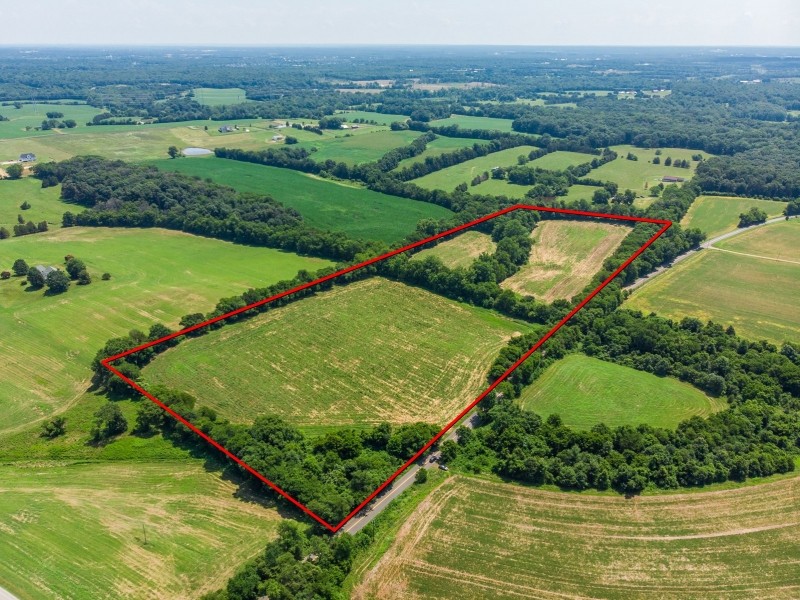 Productive Farmland or Recreational Acreage For Sale in Remington  VA featured image