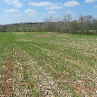 Productive Farmland or Recreational Acreage For Sale in Remington  VA images 2