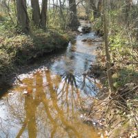 Productive Farmland or Recreational Acreage For Sale in Remington  VA images 3