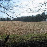 Productive Farmland or Recreational Acreage For Sale in Remington  VA images 4