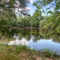 Hunting &nbsp; Recreational Land For Sale in Southern OK images 2