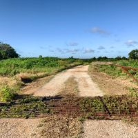 Hunting &nbsp; Recreational Land For Sale in Southern OK images 3