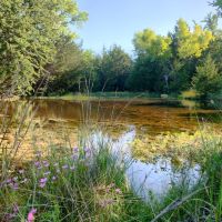 Hunting &nbsp; Recreational Land For Sale in Southern OK images 5